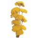 YARROW Natural 22"  -OUT OF STOCK